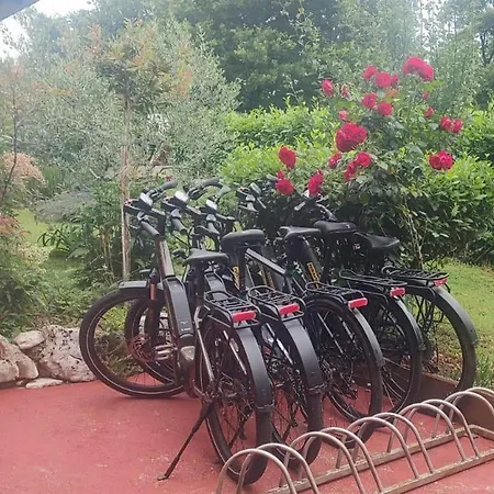 With Parking Space Fiorini, Novigrad - 6926 Apartman *