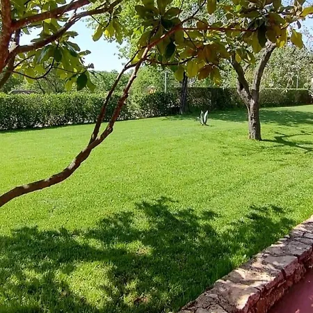 With A Parking Space Fiorini, Novigrad - 6926 Apartment Brtonigla